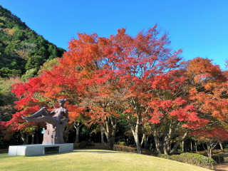 昭和の森会館庭園2